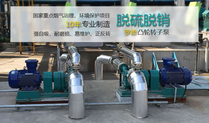 羅德凸輪轉(zhuǎn)子泵在國家環(huán)保項目中的應(yīng)用 羅德凸輪轉(zhuǎn)子泵在國家環(huán)保項目中的應(yīng)用